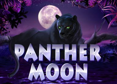Petualangan Seru di Rimba Panther Moon!