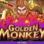Golden Monkey: Serunya Putaran Hoki Santai!